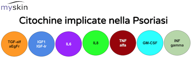 Quante e quali citochine sono interessate nel processo della Psoriasi