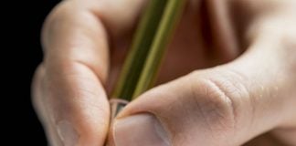 Il Melanoma è un killer, è un tumore maligno melanoma_mno_che_scrive_la_storia
