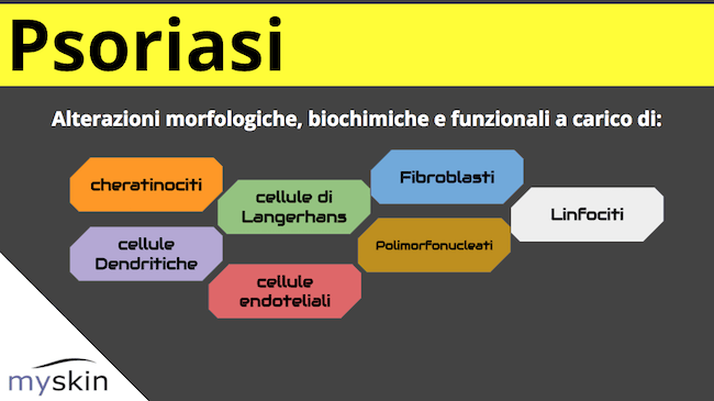 Tipologie di cellule alterate nella Psoriasi