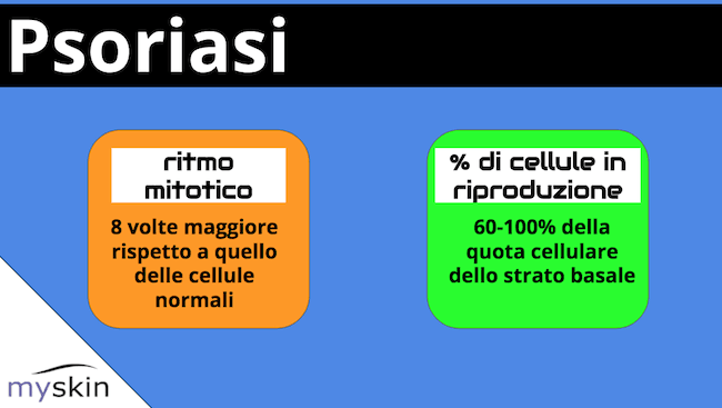 Quota di cellule in attiva riproduzione 