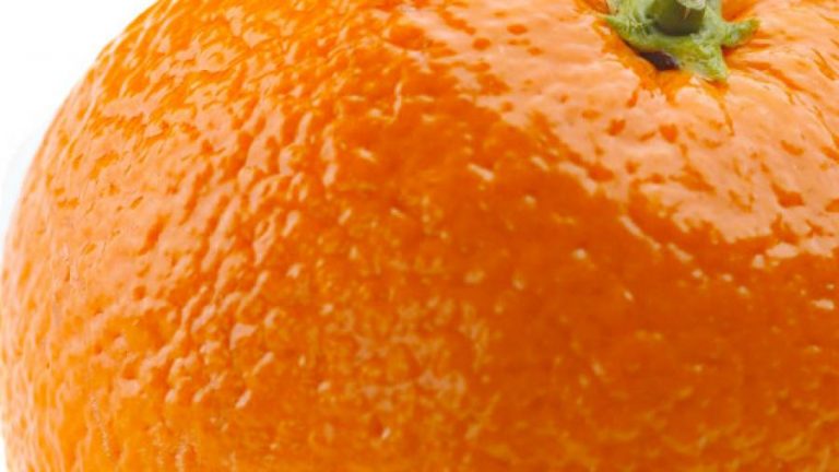 Cellulite – rimedi efficaci e miti da sfatare arancia cellulite