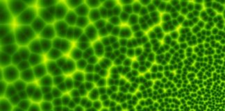 Quando nasce un tumore? cellule