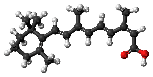 molecola isotretinoina