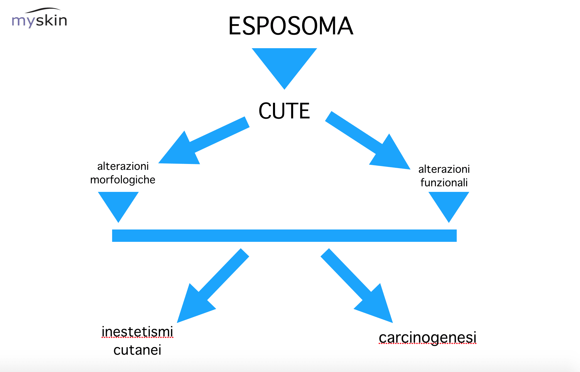 Esposoma e cute