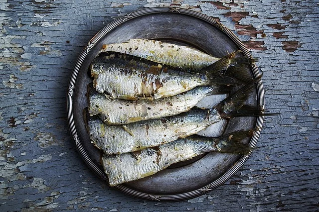 sardine-omega-3