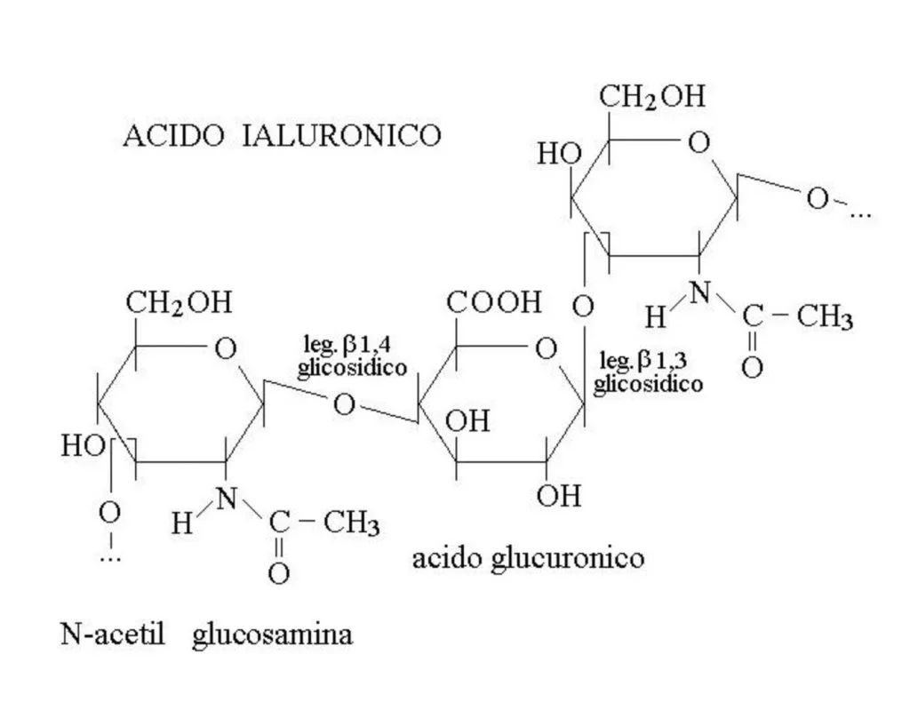 acido-ialuronico-molecola